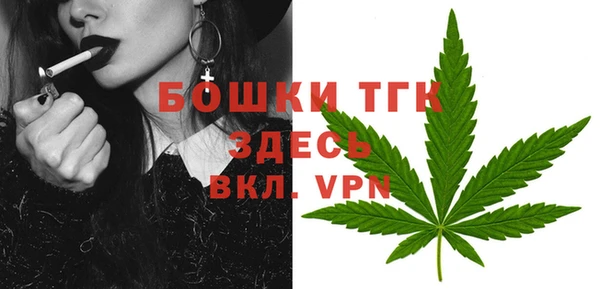 прущие грибы Кинешма