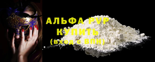 прущие грибы Кинешма
