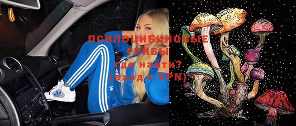 прущие грибы Кинешма
