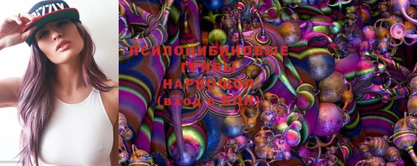 прущие грибы Кинешма