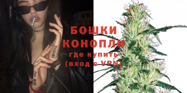 прущие грибы Кинешма